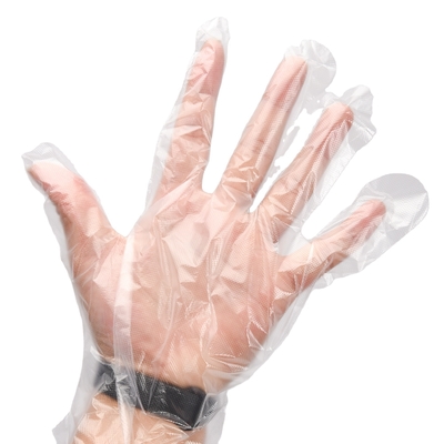 Customized Size Disposable Plastic Gloves for Kitchen Food Handling Winter Essential