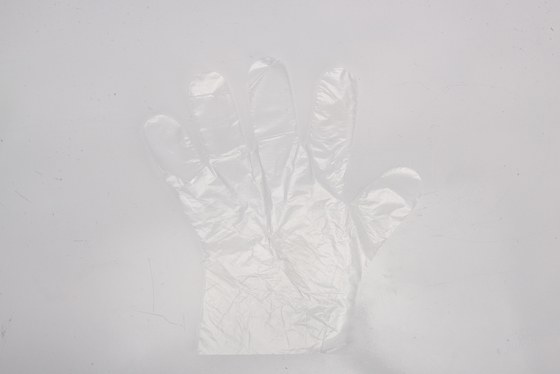 Customized Size Disposable Plastic Gloves for Kitchen Food Handling Winter Essential
