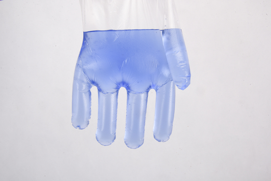 Customized Size Disposable Plastic Gloves for Kitchen Food Handling Winter Essential