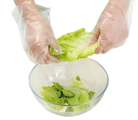 Transparent PE Plastic Disposable Household Catering Gloves for Thick Winter Cleaning