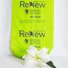 Compostable Customized PLA Biodegradable Carry Bags for Green and Sustainable Packaging