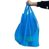 Logo Print PET PETAL PE Custom Plastic Bag with Flexiloop Handle and Custom Print