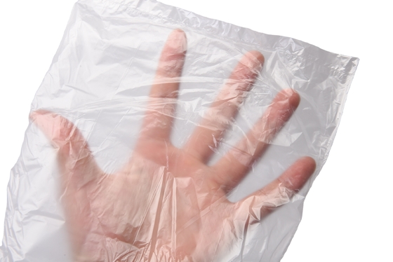Certificate OK Compost Plastic Flat Food Preservation Fresh Vegetable Packaging Bag